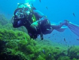 Cursos de buceo deportivo en Getafe