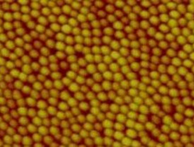 Nanodiscos magnéticos como almacén de datos