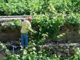 Madrid recibirá 69,5 millones de Bruselas para desarrollo rural