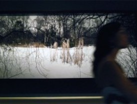 'Tiergarten', en el Museo Nacional del Romanticismo