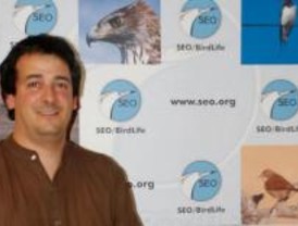 Una de cada tres especies de ave está amenazada