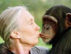 El Instituto Jane Goodall organiza ecosafaris por la capital