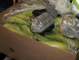 Cien kilos de cocaína en los plátanos del Lidl