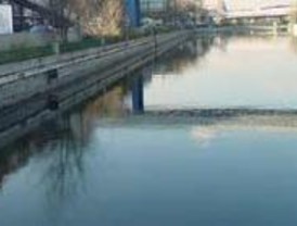 El Manzanares duplica su caudal y los embalses llegan al 63,8%