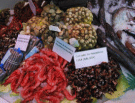 Lo mejor de Galicia llega a Madrid