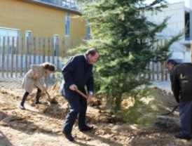 Pozuelo planta una decena de cedros