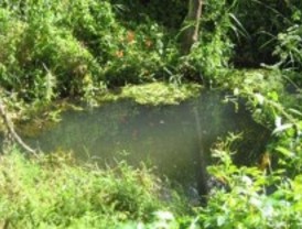 Pelayos de la Presa investiga la contaminación del Arroyo del Molino