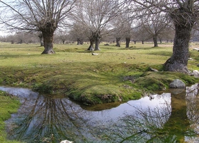 Dehesa de Moralzarzal