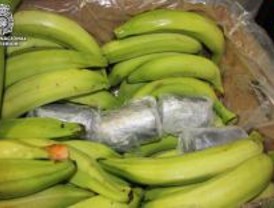 La Policía intercepta 228 kilos de cocaína ocultos en un cargamento de plátanos
