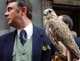 Los animales reciben la bendición de San Antón