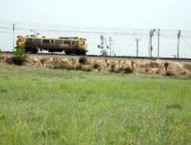 Coslada recogerá semillas de las plantas raras