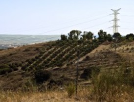 Un parque singular en el Cerro de la Herradura
