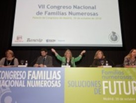 Nueve de cada diez familias numerosas se sienten 'penalizadas' porque no reciben ayudas
