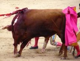 Un pésimo Talavante y un regular Uceda desaprovechan un buen encierro