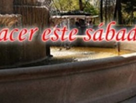 ¿Qué hacer este domingo, 10 de julio?