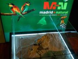 Tres Cantos acoge desde este viernes la muestra 'Madrid+Natural'