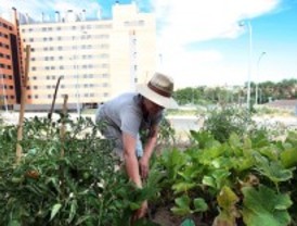 Primer encuentro de la Red de Huertos Urbanos de Madrid
