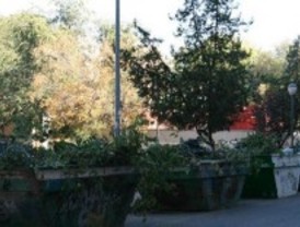 Coslada pone en marcha la campaña de poda