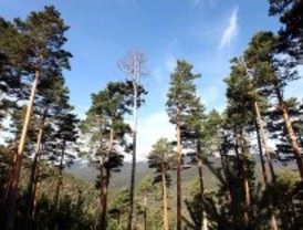 El PSOE pide la retirada de la propuesta del Parque Nacional del Guadarrama