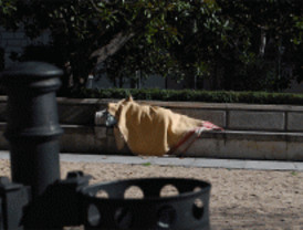 5 menores vivían en las calles de Madrid en 2007