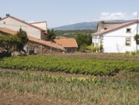 Apoyo al turismo rural de Madarcos
