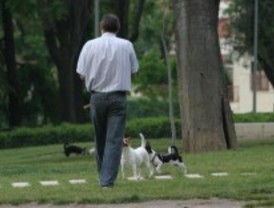 Leganés estrena tres nuevos vehículos de recogida de excrementos caninos