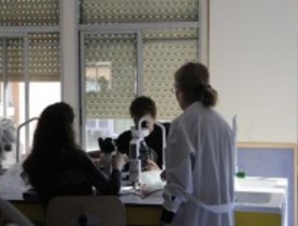 Comunidad y sindicatos educativos fijan un calendario para acordar los horarios de los profesores