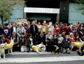 Un paseo para reivindicar la presencia de los perros-guía