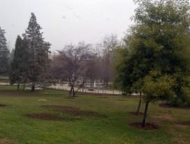 WWF otorga a Madrid el reconocimiento de 'Ciudad por los bosques'