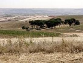 Valdebebas obtiene una ISO de gestión medioambiental