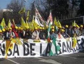 Miles de ganaderos protestan en Madrid por la crisis del sector