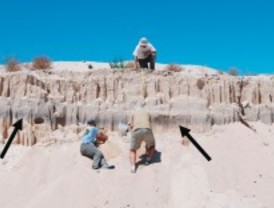 Los pinares segovianos: un paisaje milenario
