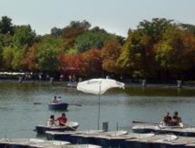 Los árboles del Retiro 'se estresan' por el calor