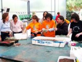 Discapacitados cuidan el medio ambiente en Pozuelo de Alarcón