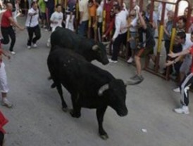 Arganda mantiene los festejos taurinos pese a la muerte de una espectadora en un encierro