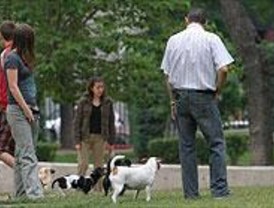 Propet pretende ser la principal feria veterinaria del país