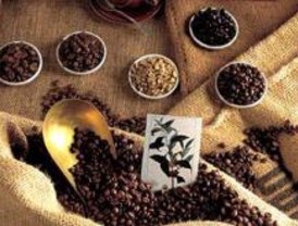 El 'Bus del café' llega a Madrid para dar a conocer la calidad de ese producto