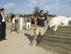 Nuevo parque canino en Las Rozas