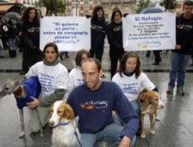 Campaña para promover la adopción de animales