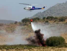 Más de 300 incendios en la región en lo que va de año
