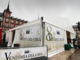 La Vendimia del Cava reúne a 3.000 madrileños en la plaza Mayor