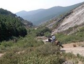 Ecologistas denuncia la construcción de 51 casas en una cañada real