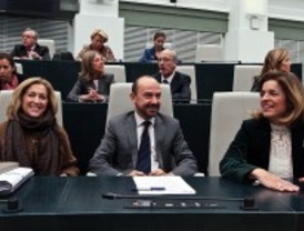 El Pleno despide a Cobo, Bravo y Martínez