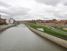 La M-30 de los peces