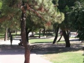 Las Rozas prepara la campaña municipal contra la procesionaria