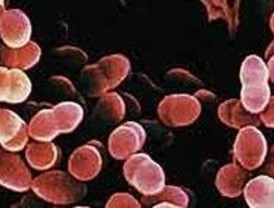 Menos hospitalizados por Meningitis Neumónica