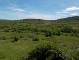 La Fundación Biodiversidad subvencionará tres proyectos medioambientales