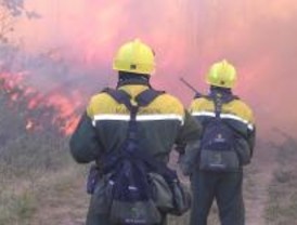 Expedientados nueve auxiliares de bomberos forestales