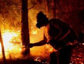 El PSOE denucia el peligro de incendio en los 'Los Robles' por no recoger la basura