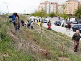 Nueva plantación en el parque 'Manolito Gafotas'